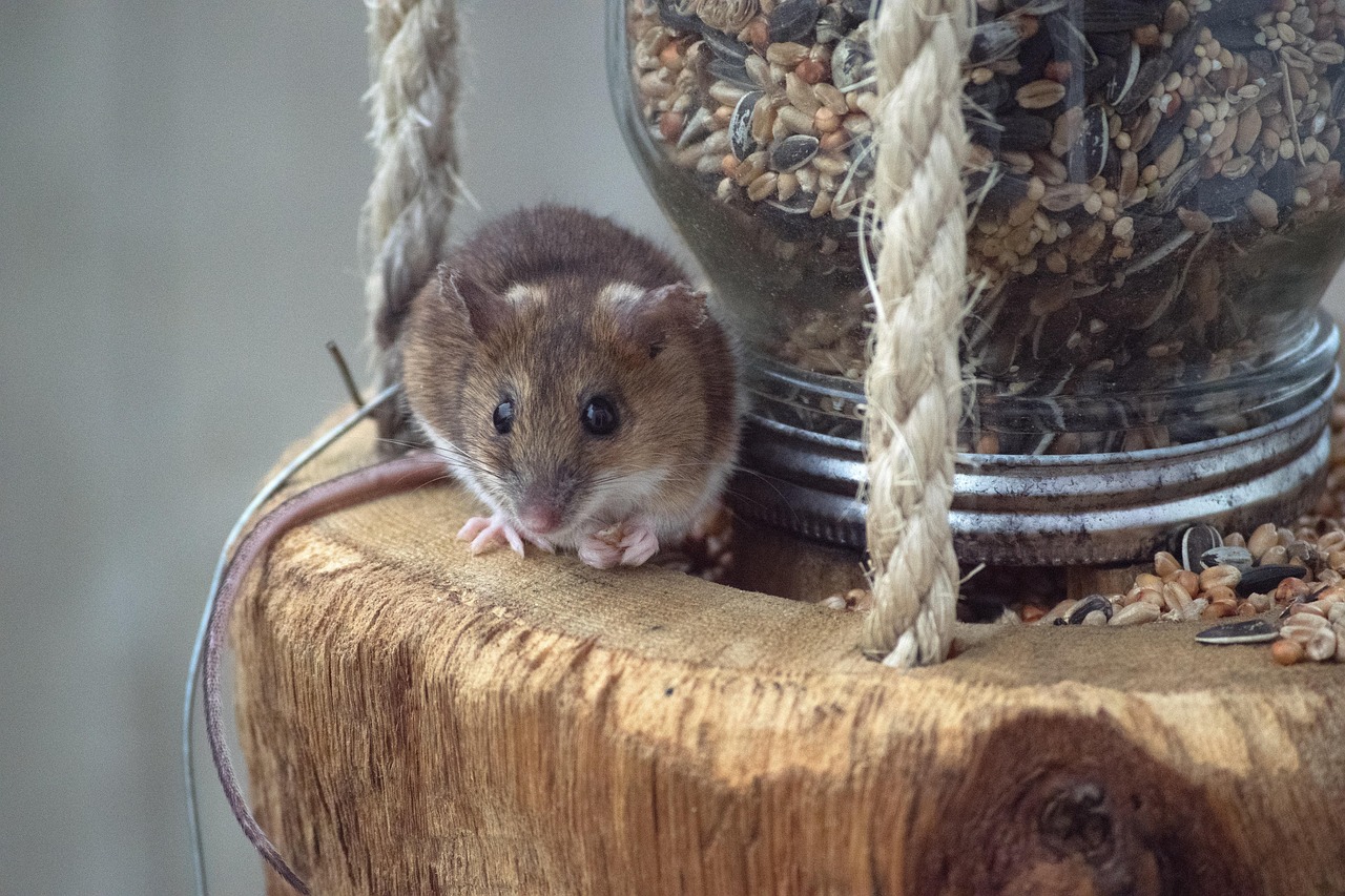 군사용 드론 작전 기지 3