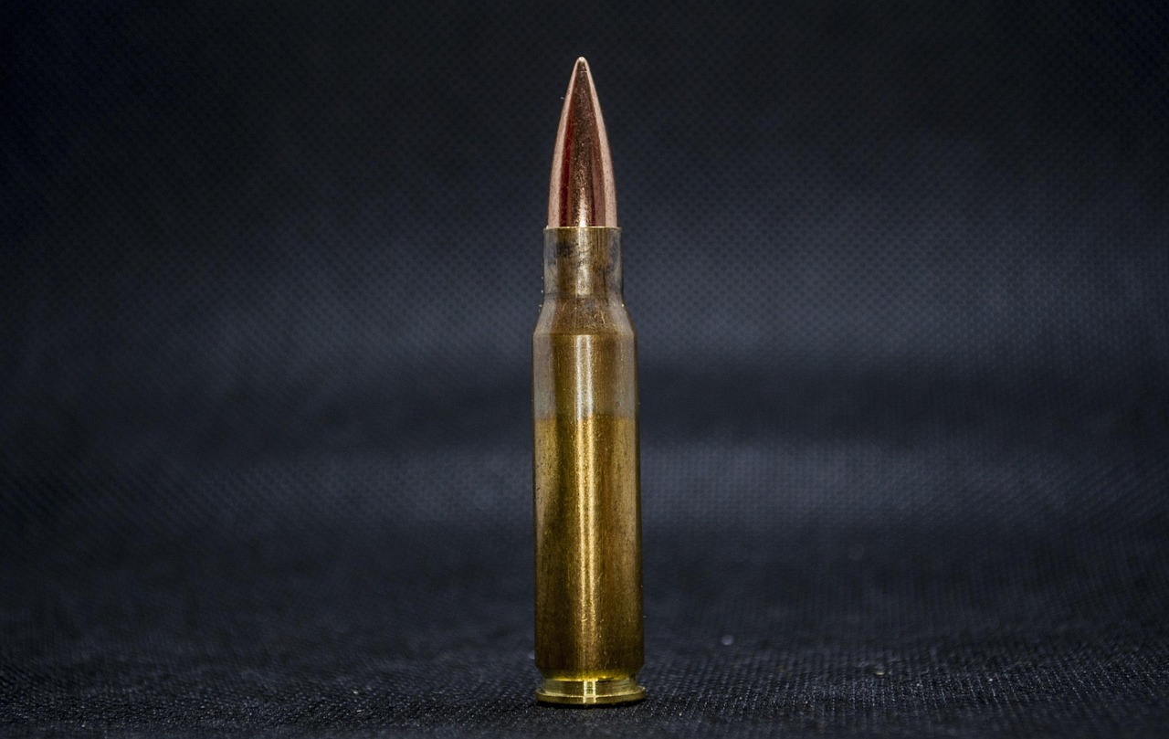 전장 정보 통합 시스템 3